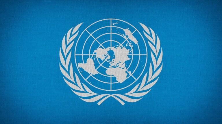un, united nations, organization of the united nations, cloth, texture, textile, sign, flag, symbol, country, patriot, nation, national, emblem, world, international, united nations, united nations, united nations, united nations, united nations
